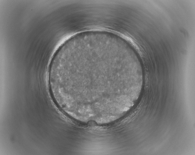 X0000115321424200912141148