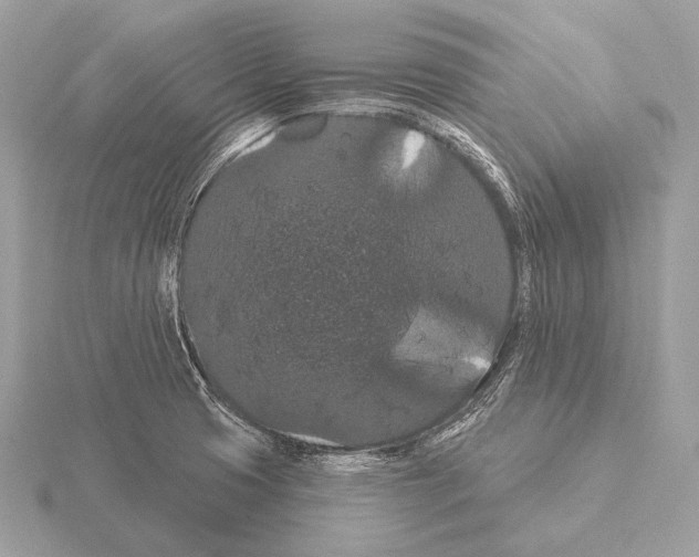 X0000115321425200912141148