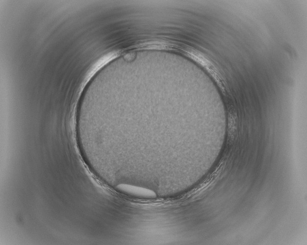 X0000115321426200912141148