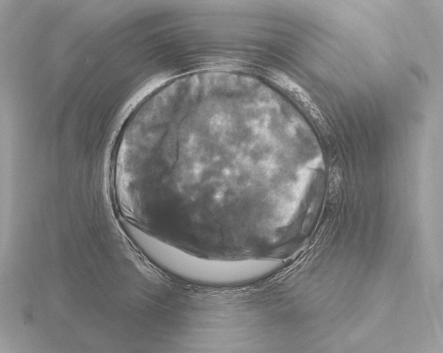 X0000115321427200912141148