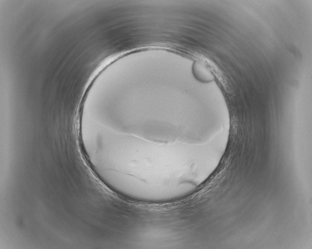 X0000115321428200912141149