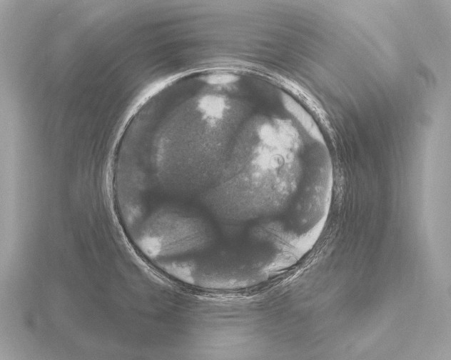 X0000115321429200912141149