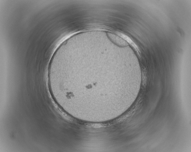 X0000115321431200912141149