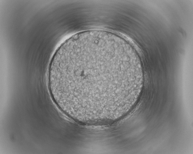 X0000115321432200912141149