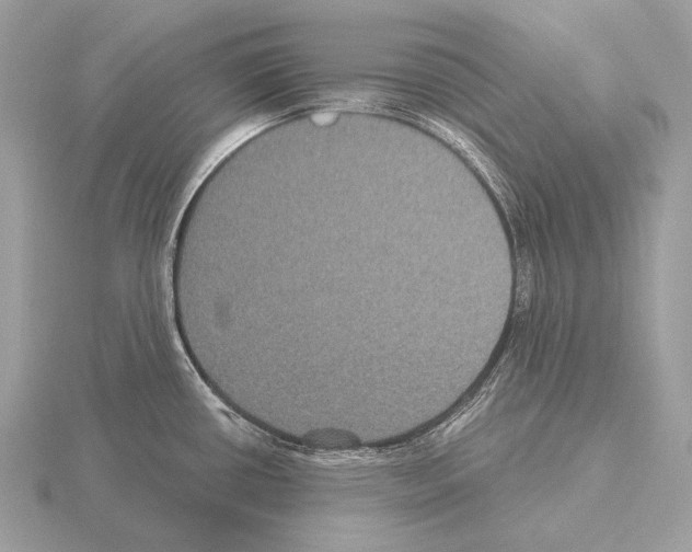 X0000115321434200912141149