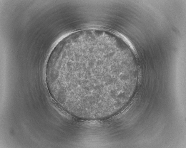 X0000115321435200912141149