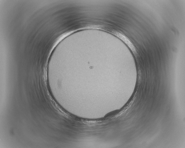 X0000115321436200912141149