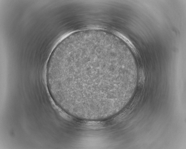 X0000115321439200912141149