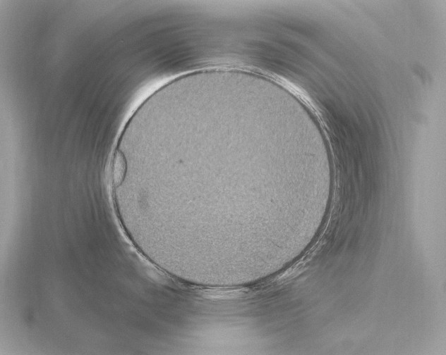 X0000115321440200912141149