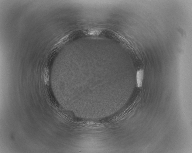 X0000115321443200912141148