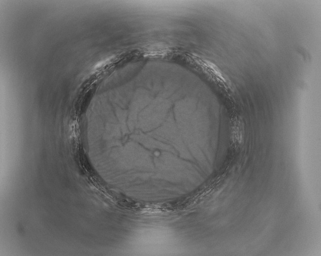 X0000115321445200912141148