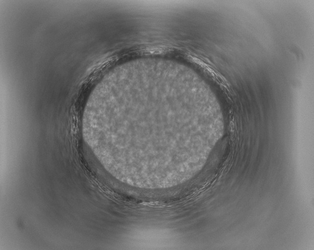 X0000115321447200912141148