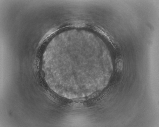 X0000115321448200912141148