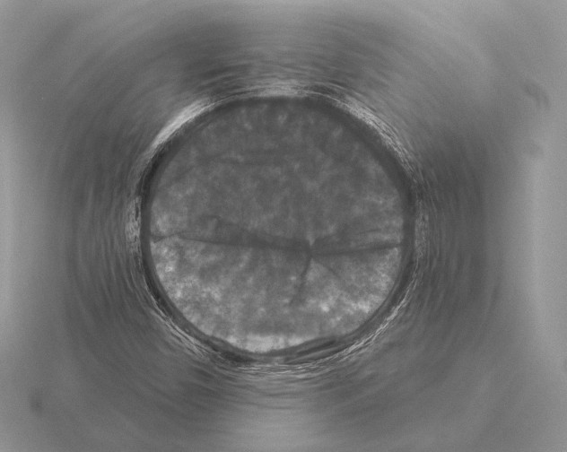 X0000115321450200912141148