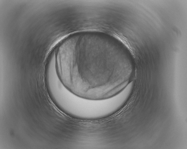 X0000115321452200912141148