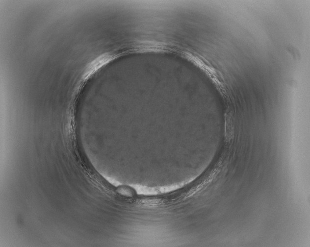 X0000115321453200912141148