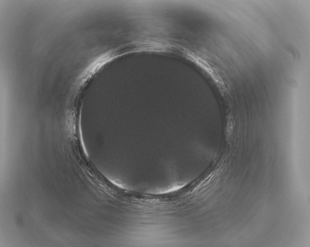 X0000115321455200912141148