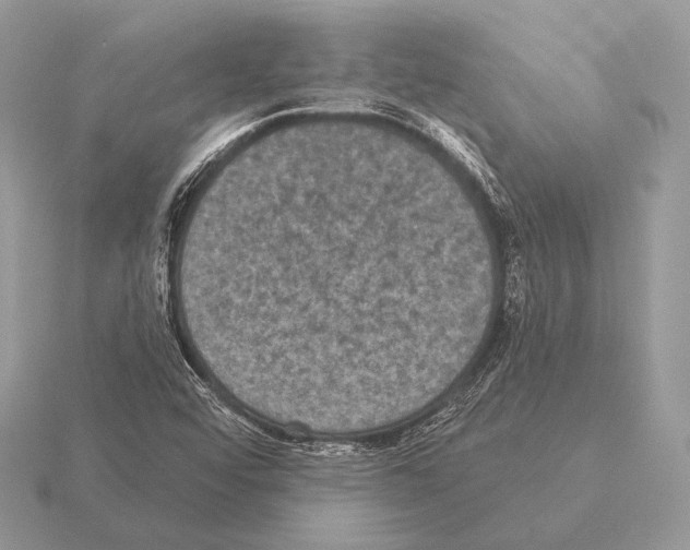 X0000115321456200912141148