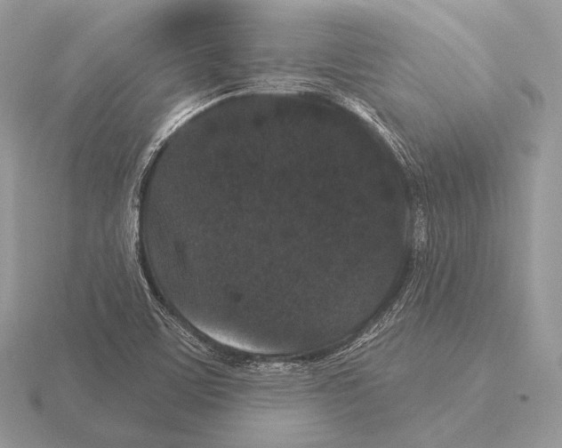 X0000115321459200912141148