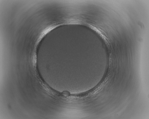 X0000115321461200912141148