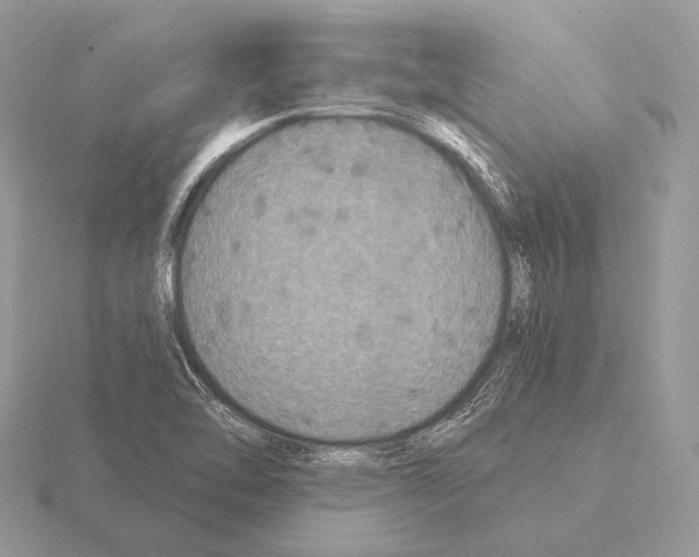 X0000115321462200912141148