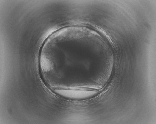 X0000115321463200912141148