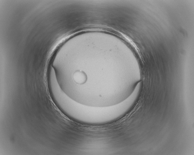 X0000115321464200912141148