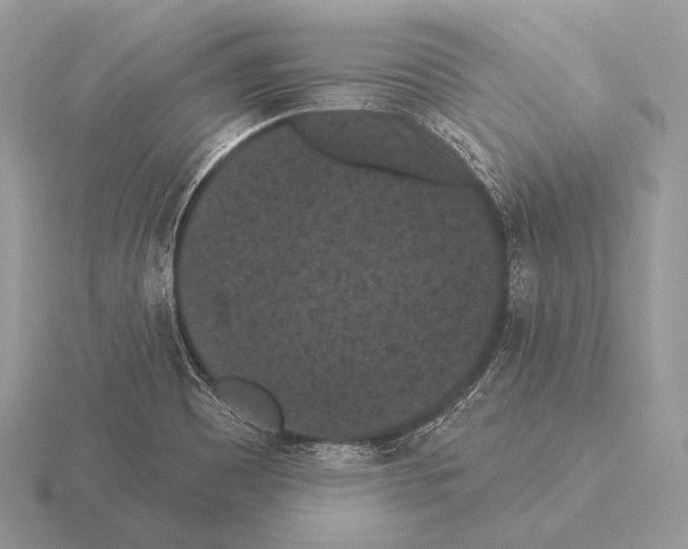 X0000115321465200912141148