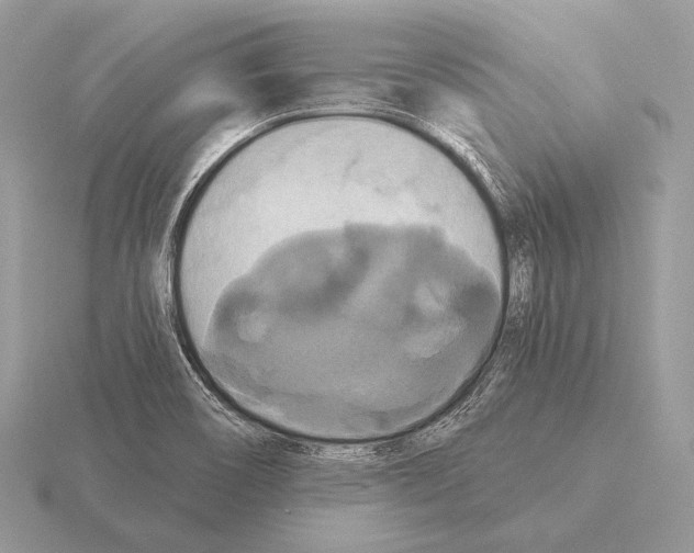 X0000115321466200912141148