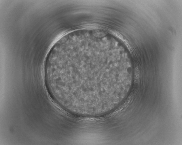 X0000115321467200912141148