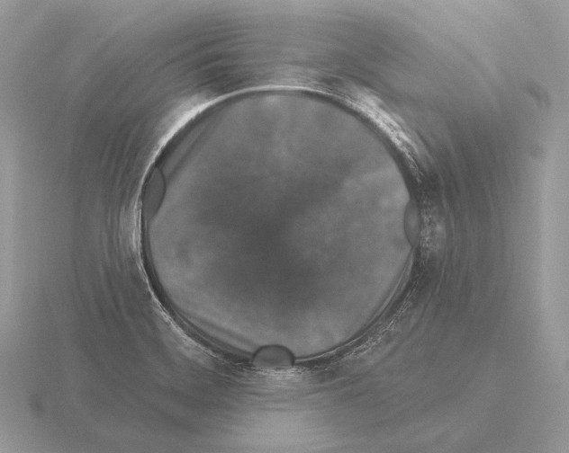 X0000115321468200912141148