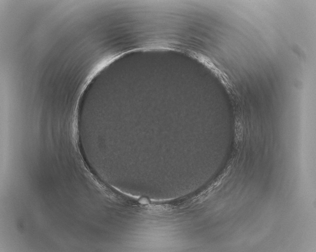 X0000115321469200912141148