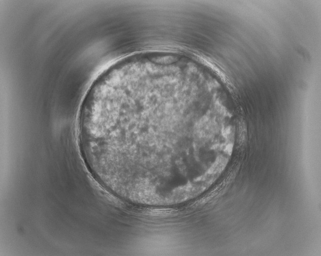 X0000115321471200912141147