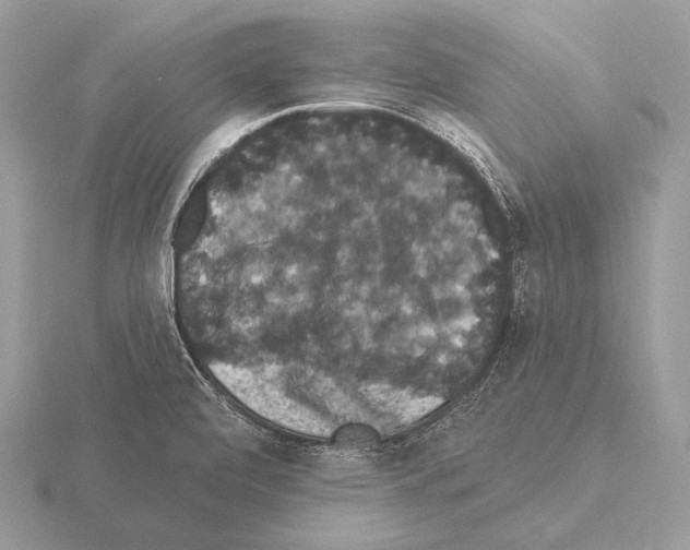 X0000115321472200912141147