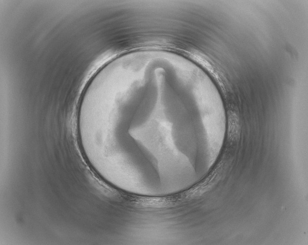 X0000115321474200912141147