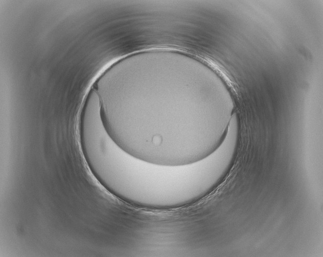 X0000115321476200912141147