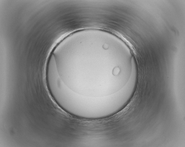 X0000115321477200912141147