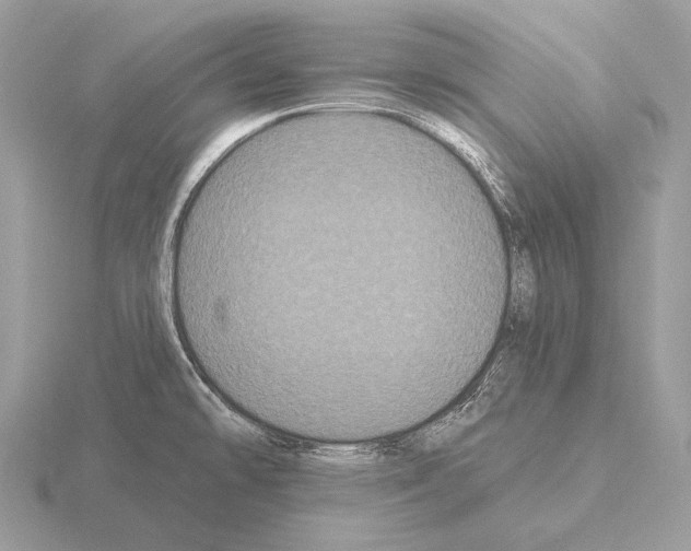 X0000115321478200912141147