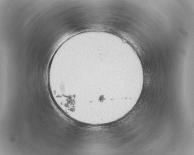 X0000115321479200912141147