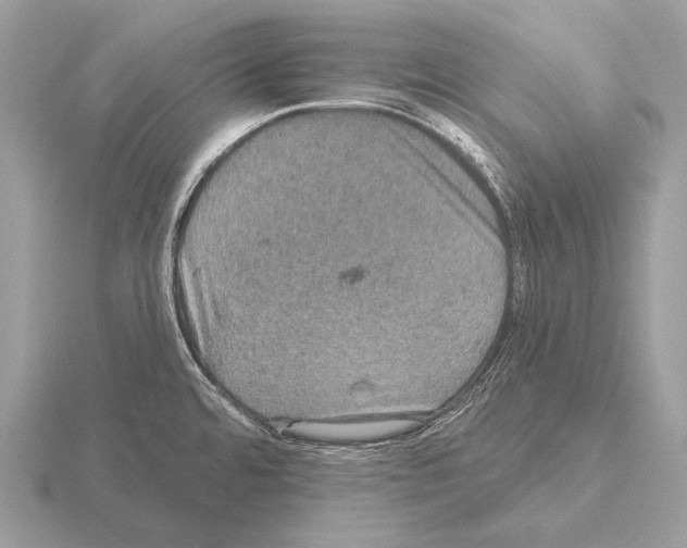 X0000115321480200912141147