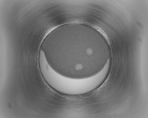 X0000115321481200912141147