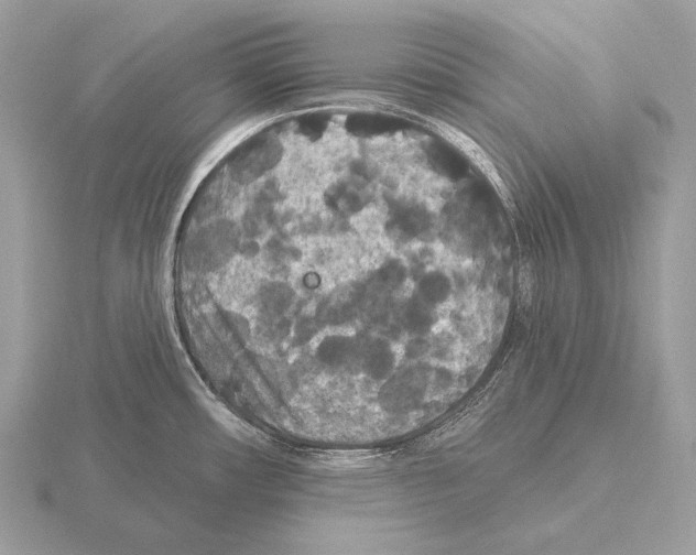 X0000115321482200912141147