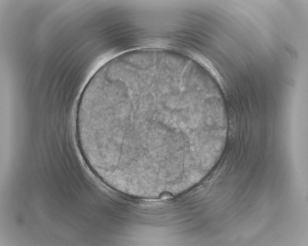 X0000115321483200912141147