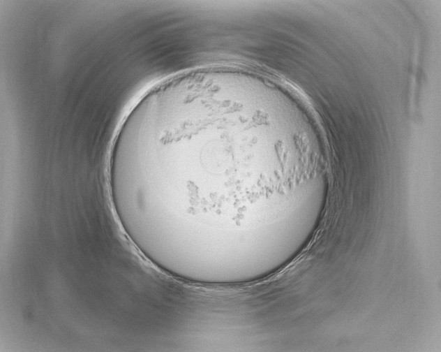 X0000115321488200912141147