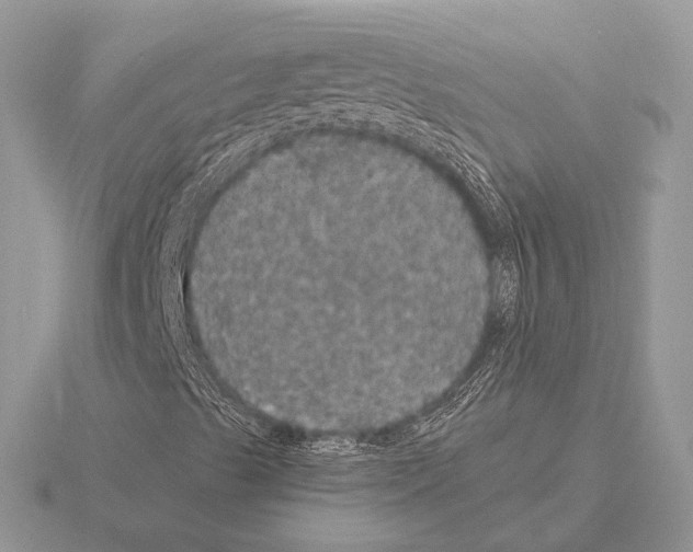 X0000115321489200912141147