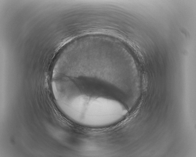 X0000115321497200912141147