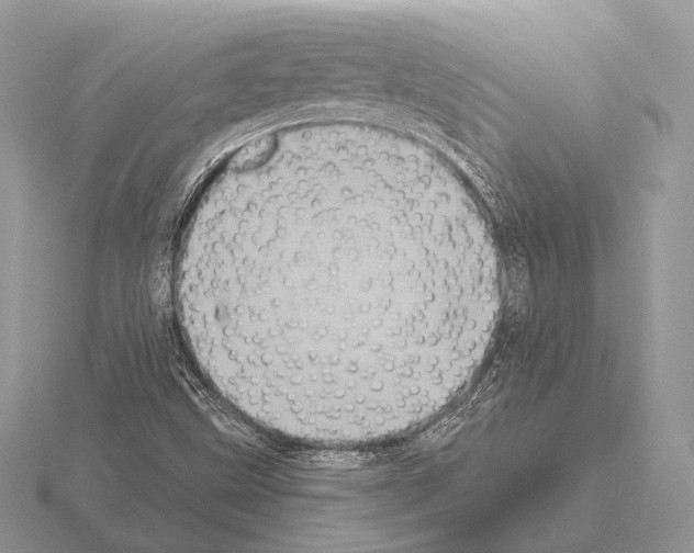 X0000115321499200912141147