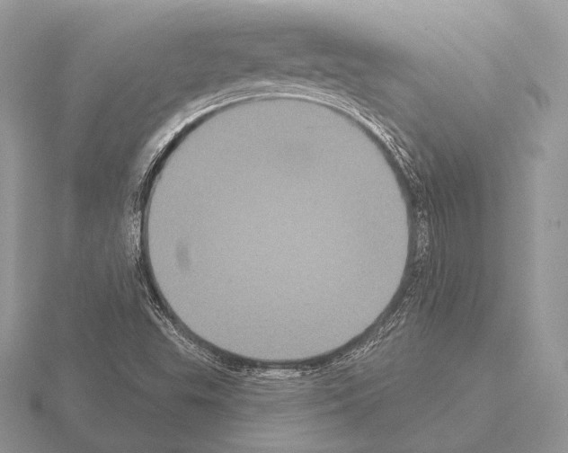 X0000115321503200912141147