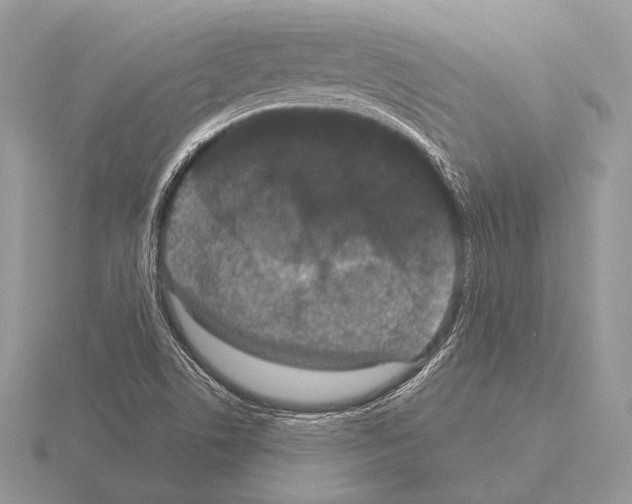 X0000115321506200912141147