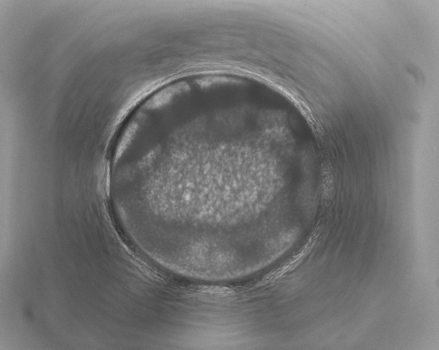 X0000115321509200912141147